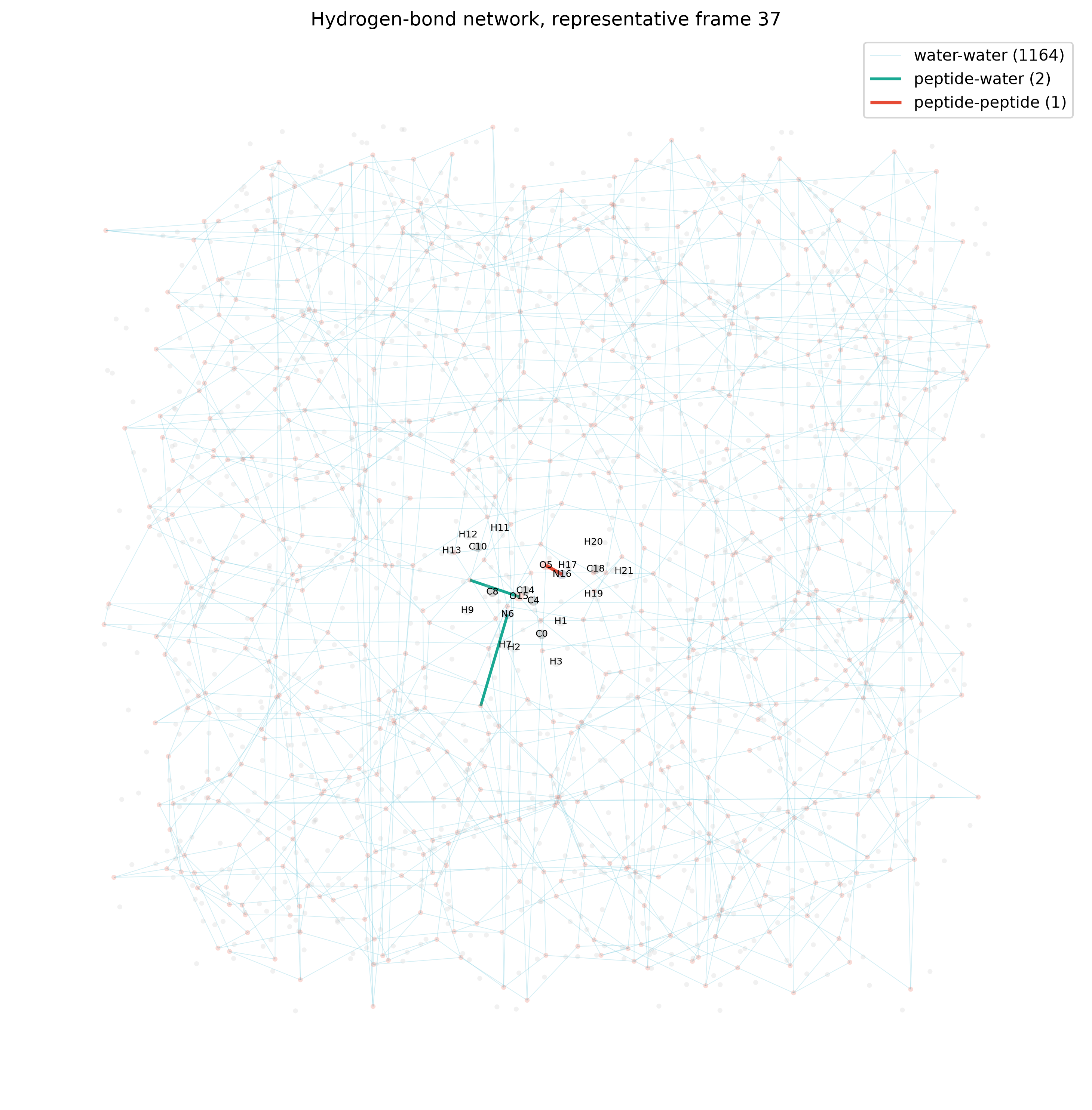 Hydrogen-bond network