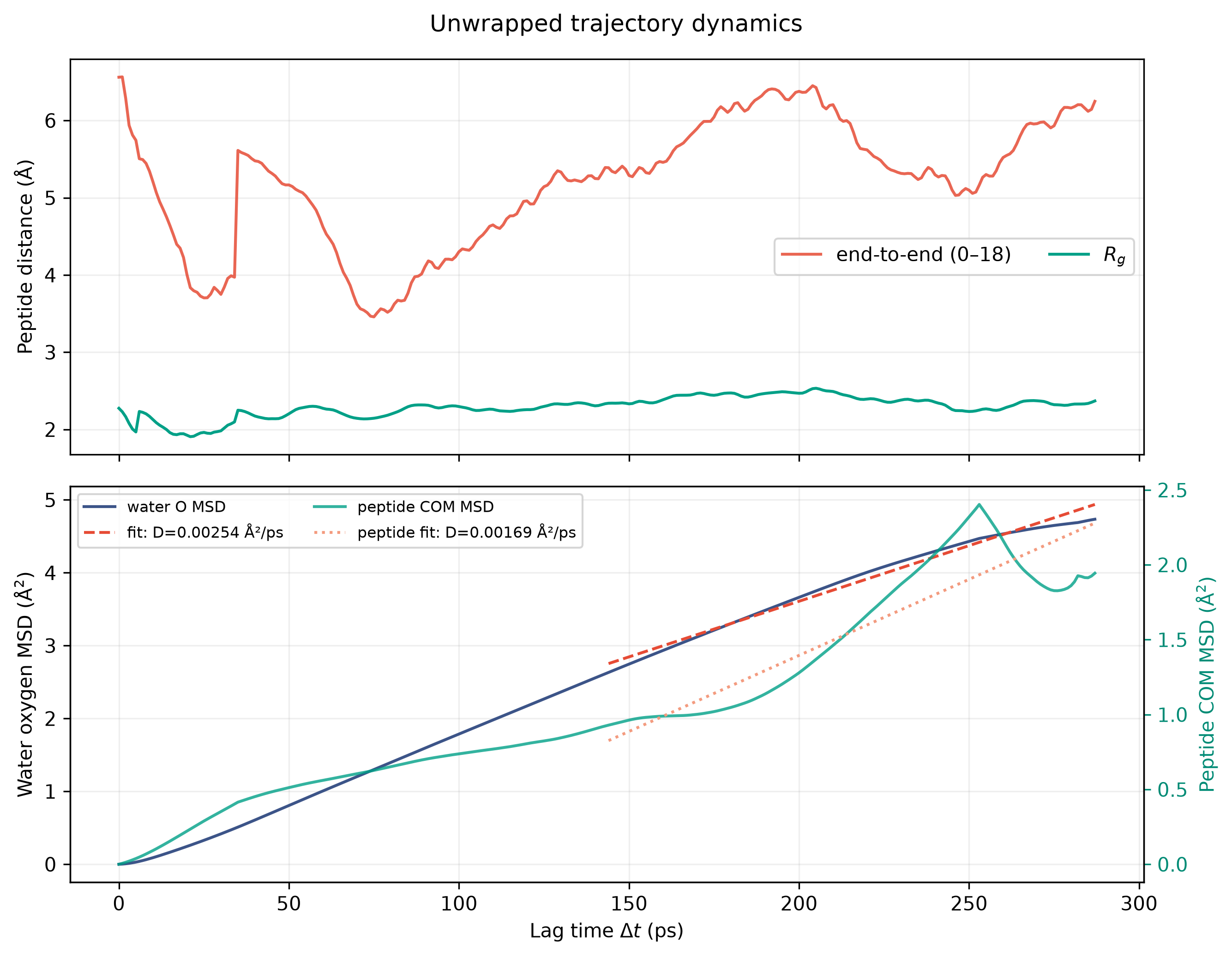 Radius of gyration and water MSD